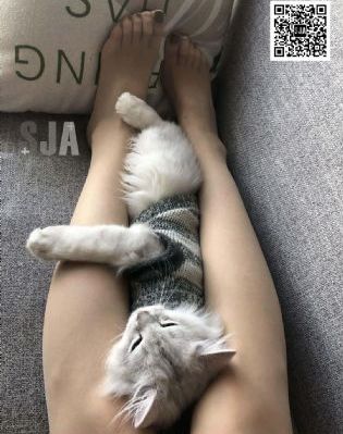 青娱极品盛宴_DVD电影完整版